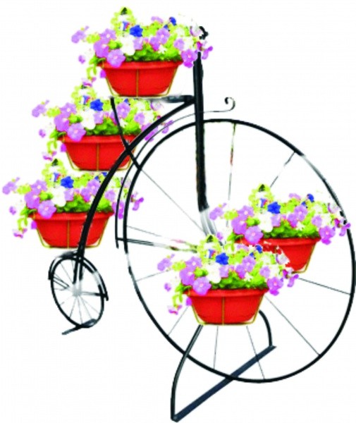 Цветочница Велосипед Цирк