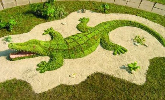 Топиарная фигура Крокодил